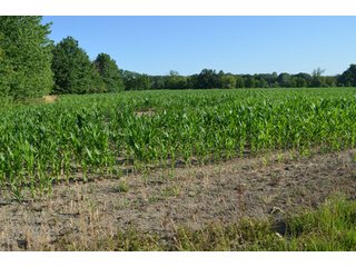 Property photo 45 - 64 Acre Farm Offered in 4 Tracts or in Combinations - Real Estate Auction